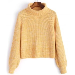 Turtleneck Heathered Pullover Sweater